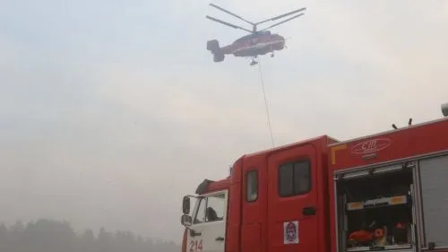 Рослесхоз обвинил чиновников Рязанской области в сокрытии масштабов лесных пожаров
