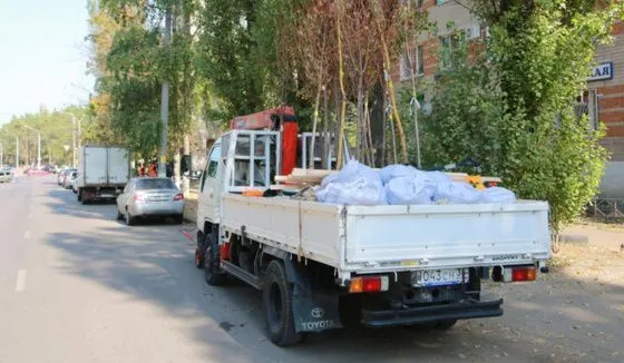 В Воронеже стартовали работы по осеннему озеленению 