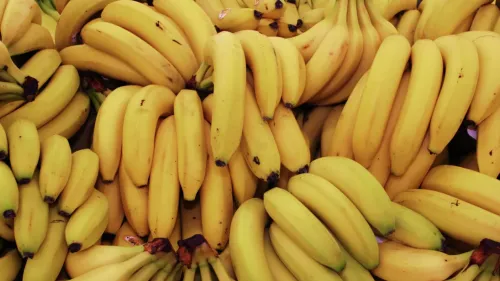 В лондонском порту нашли более полутонны кокаина в коробках с бананами