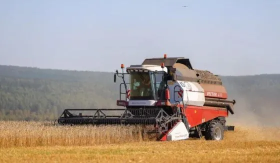 Экспорт зерна из Ростовской области резко сократился