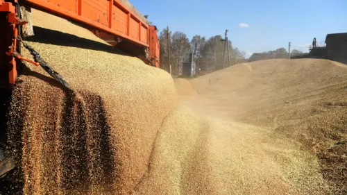 РФ может увеличить экспорт зерна, продовольствия и удобрений