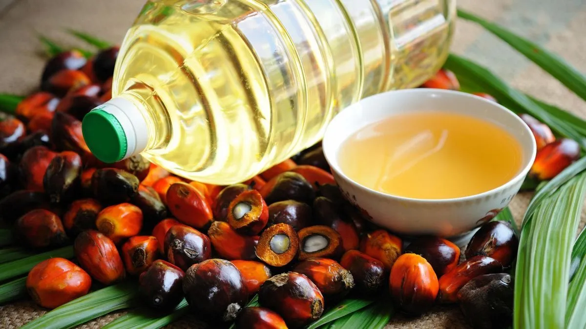 В России могут ввести уголовную ответственность за использование пальмового масла
