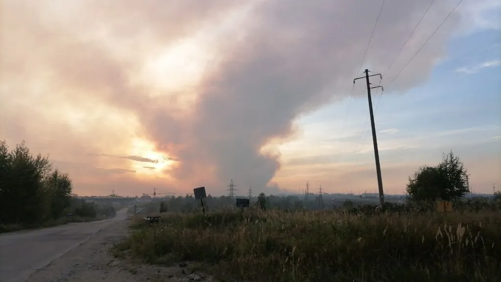 Жителей российского города попросили сохранять спокойствие в связи с бушующим лесным пожаром