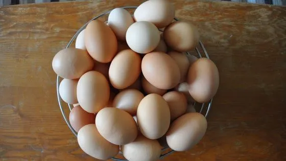 ФАС проверяет цены на яйцо в преддверии Пасхи