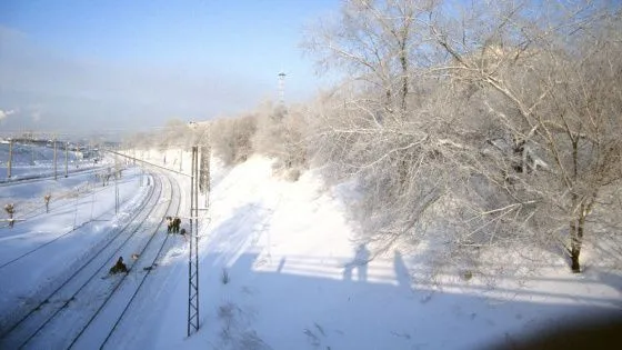 В России занялись вопросом строительства Северо-Сибирской железнодорожной магистрали